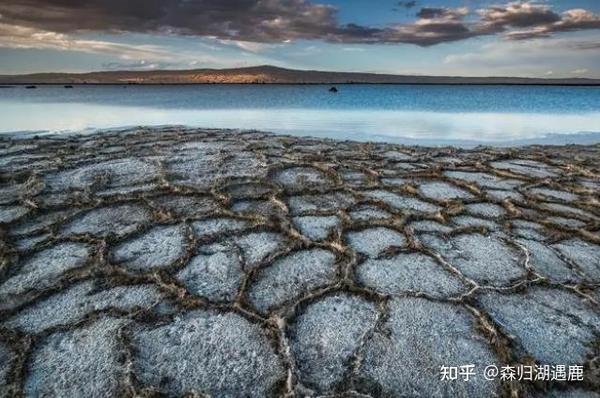 食用盐买“海盐”还是精盐?提醒:用途区别大,弄懂后别再买错了 - 知乎