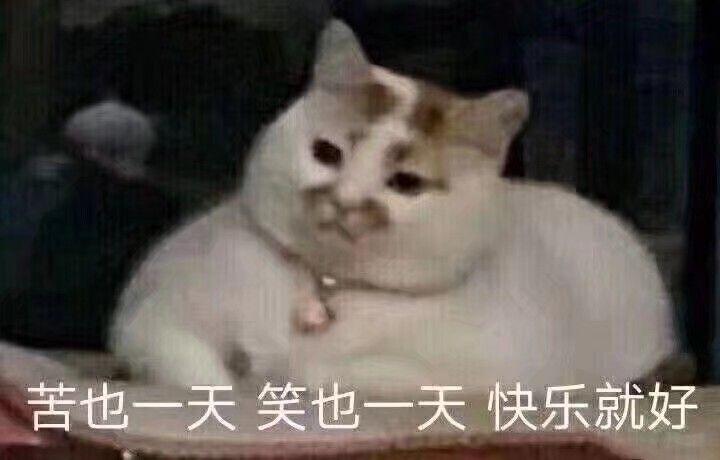 v2-98c26ec9c6db1a80ab73761d05e357e9_r.jpg