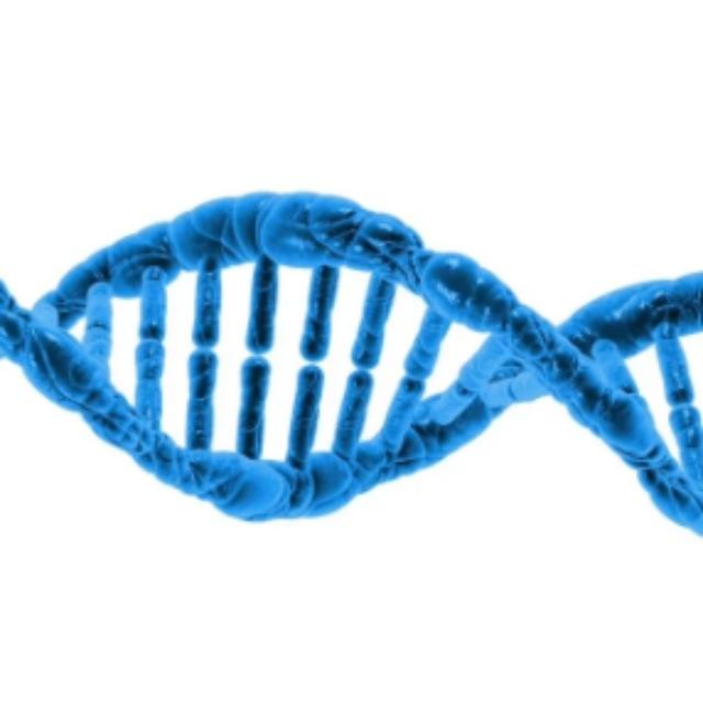 RNA 逆转录形成的 DNA 有没有启动子？如果没有，这个 DNA 又怎样转录出 mRNA？