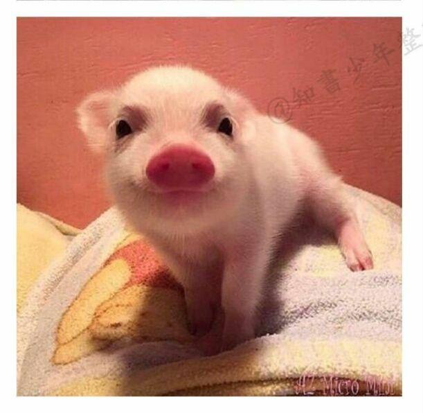 大一这种水平可以有偿约拍了吗?