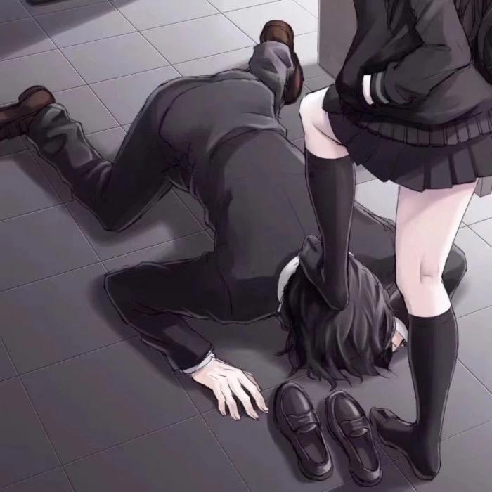 有什么女攻男受的情侣头像?