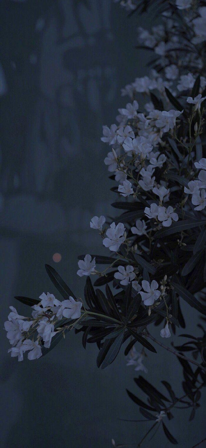 有没有好看的冷淡风或者比较惊艳的全面屏壁纸? - 知乎