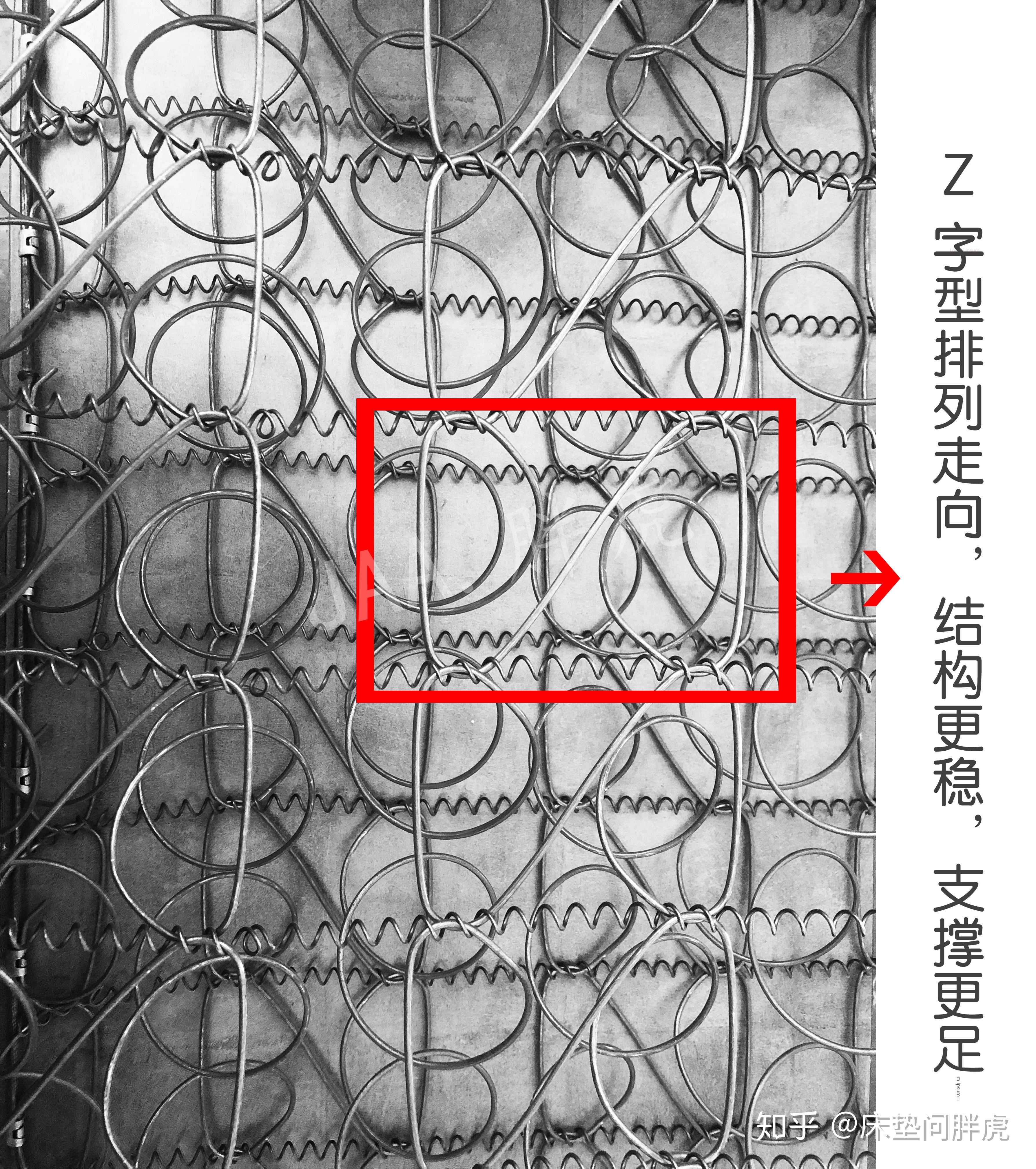 最早礼恩派的拉丝提丝簧平面结构上是有红色那部分钢线的,结构会更