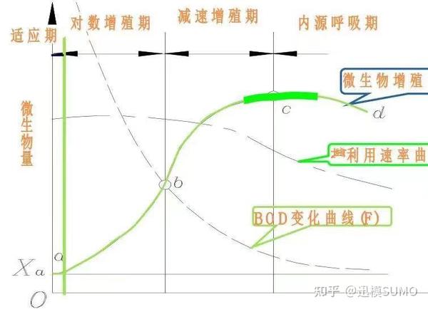 活性污泥模型的前世今生与未来发展- 知乎