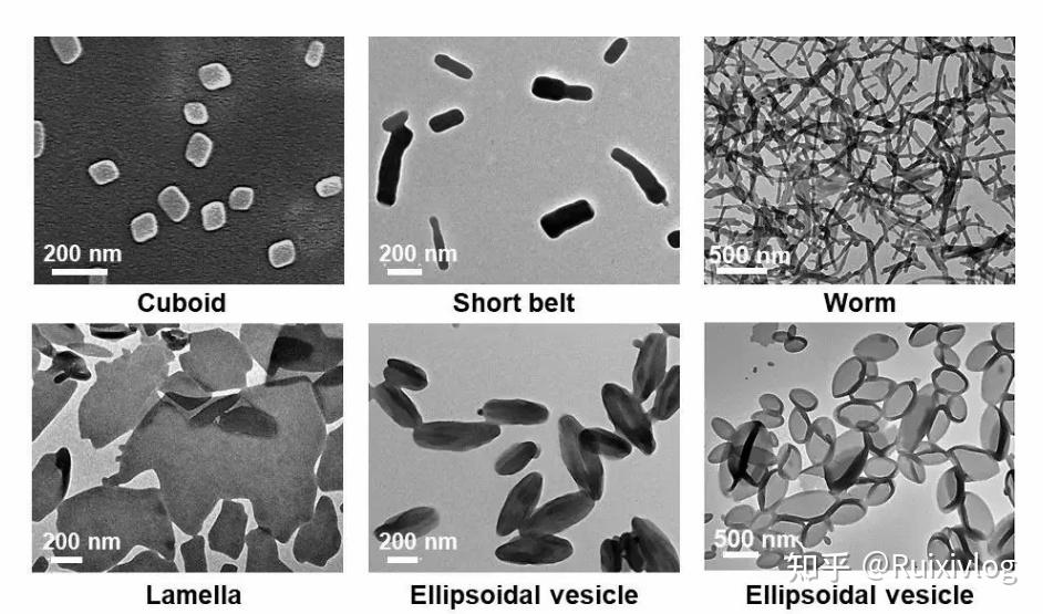 接枝聚乙二醇链的聚酰胺胺树枝状聚合物peg-pamam - 知乎