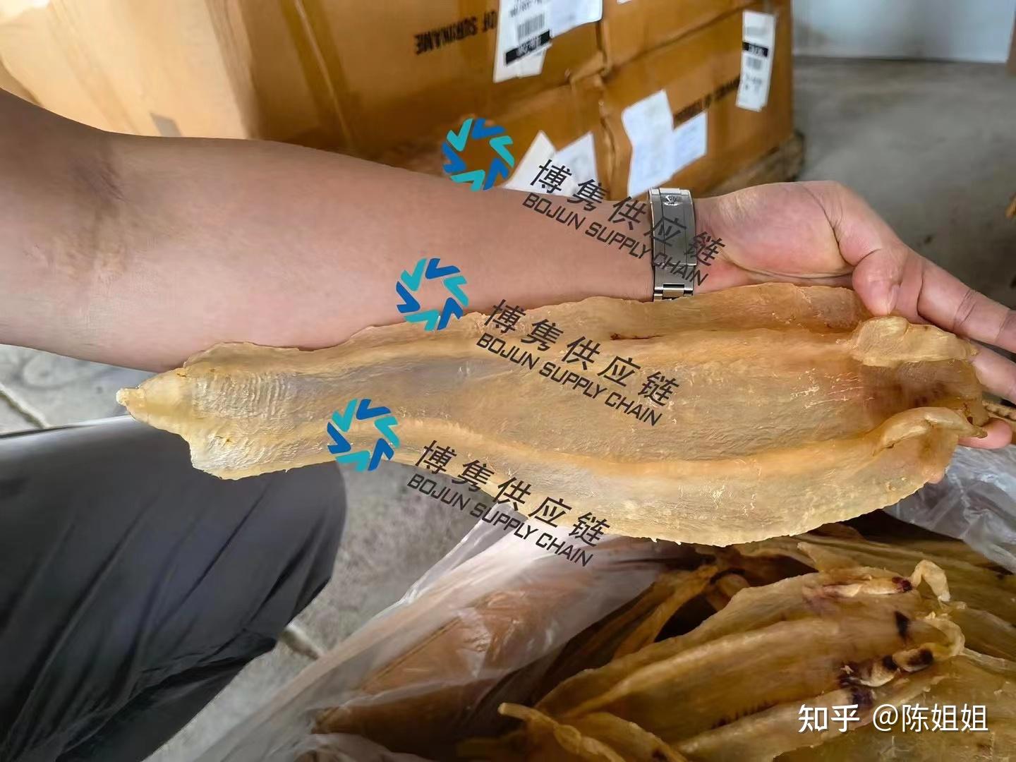 关于鱼胶花胶进口清关注意事项及一般贸易详细流程 - 知乎