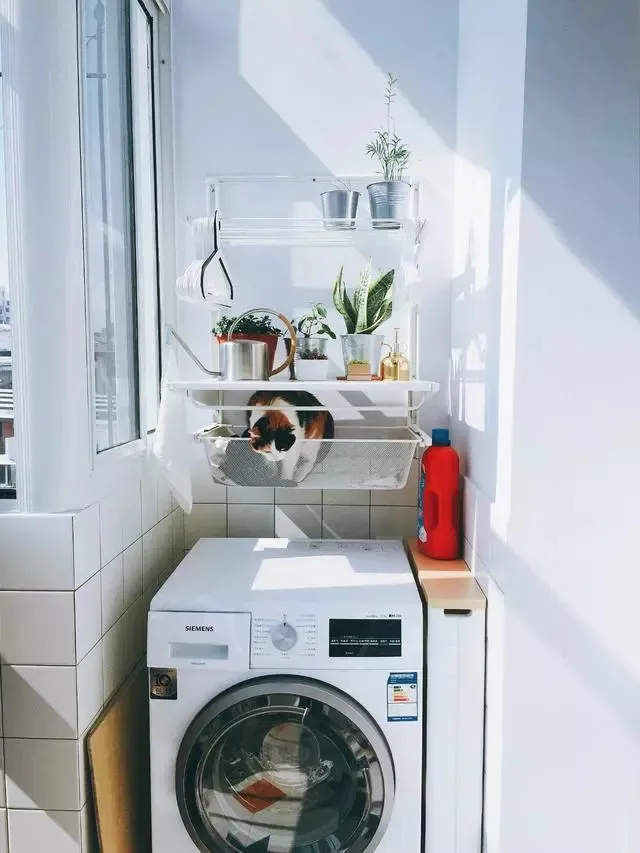 哪些装修细节做得好,入住后一定感谢设计师? 43 v2 9917ccf7b71819b91ff77011ca86a74b 720w