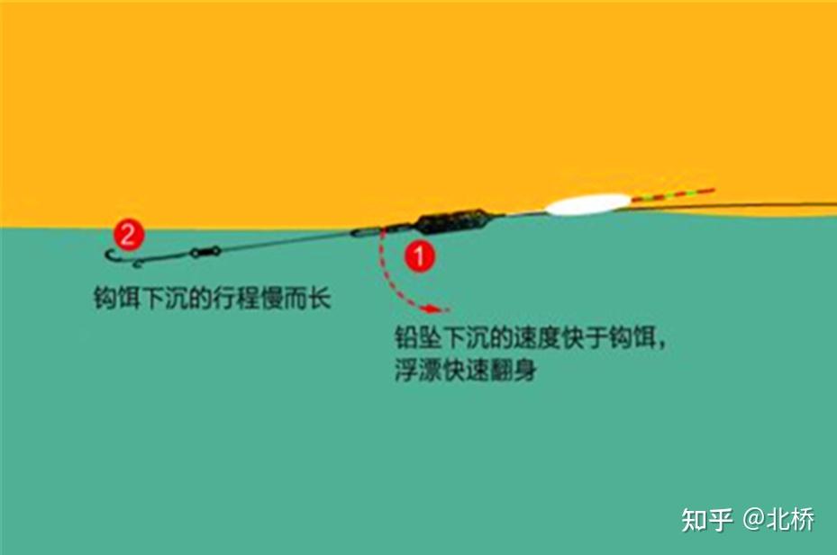 春季钓翘嘴,用这种手竿"动态钓法",狂拉翘嘴很过瘾 - 知乎