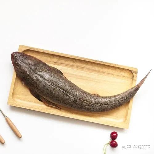 鲲天下鳜鲥鳎鲉鲬鲿鳢鲷䲟鳓鳑鲏鲯鳅鳗鲡你都认识吗