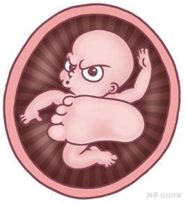 怀孕29周男孩胎儿图图片