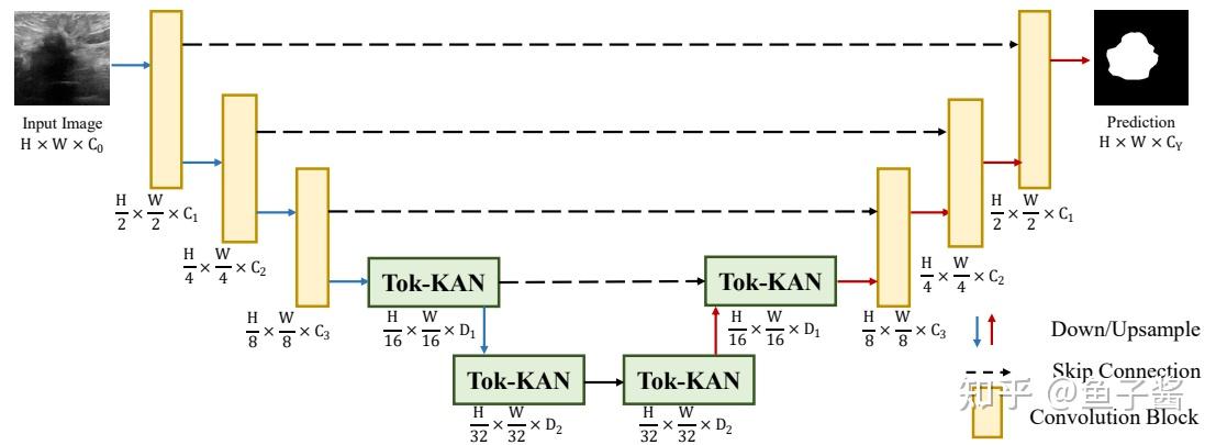发文首选：KAN用于图像处理！效果炸裂好 - 知乎