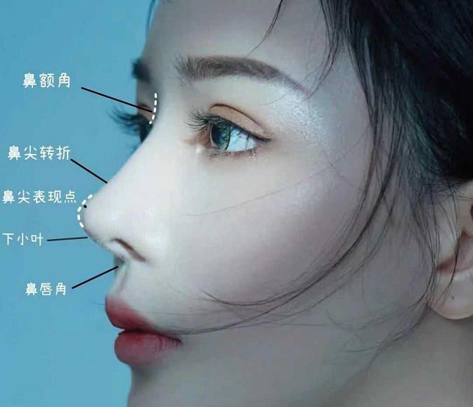鼻子大真的很难看吗?