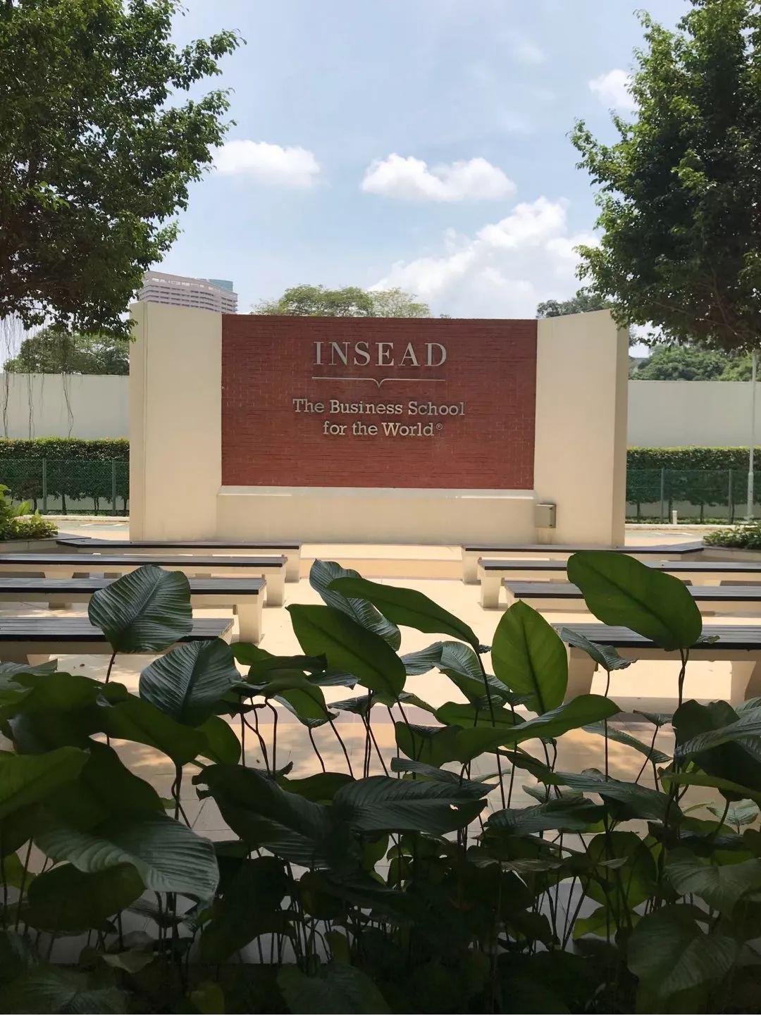insead|十个月拿管理学硕士文凭?这所世界顶级商学院6月3日申请截止
