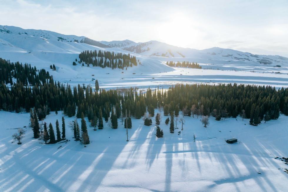 雪后初霁的伊犁孟克特草原惊艳了整个冬天