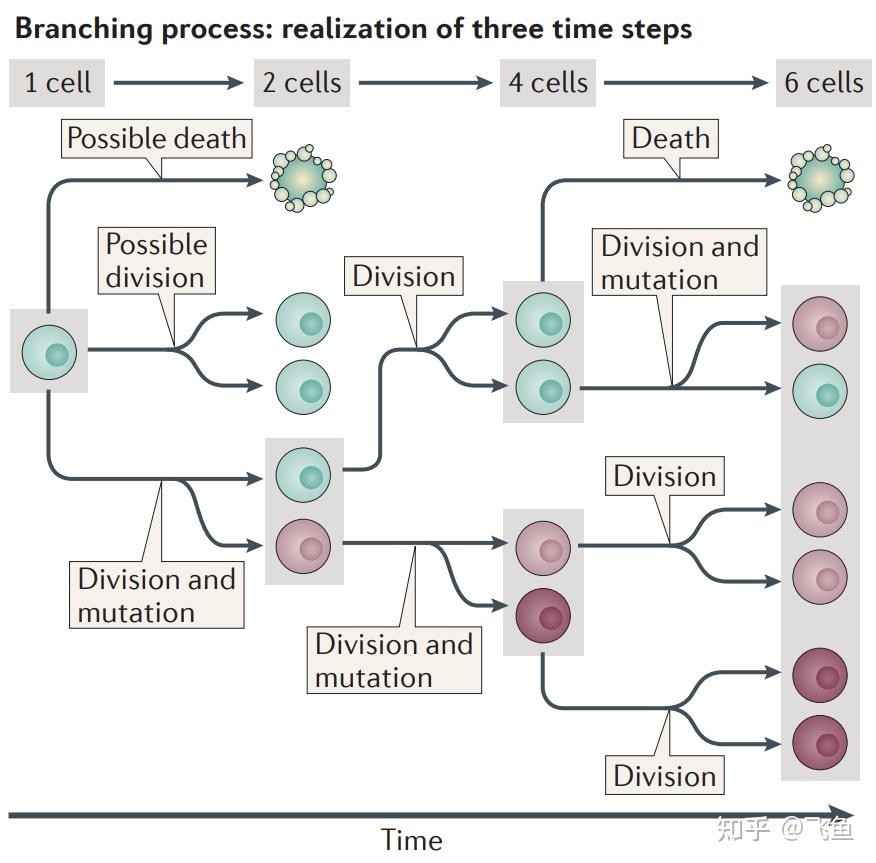 The mathematics of cancer 