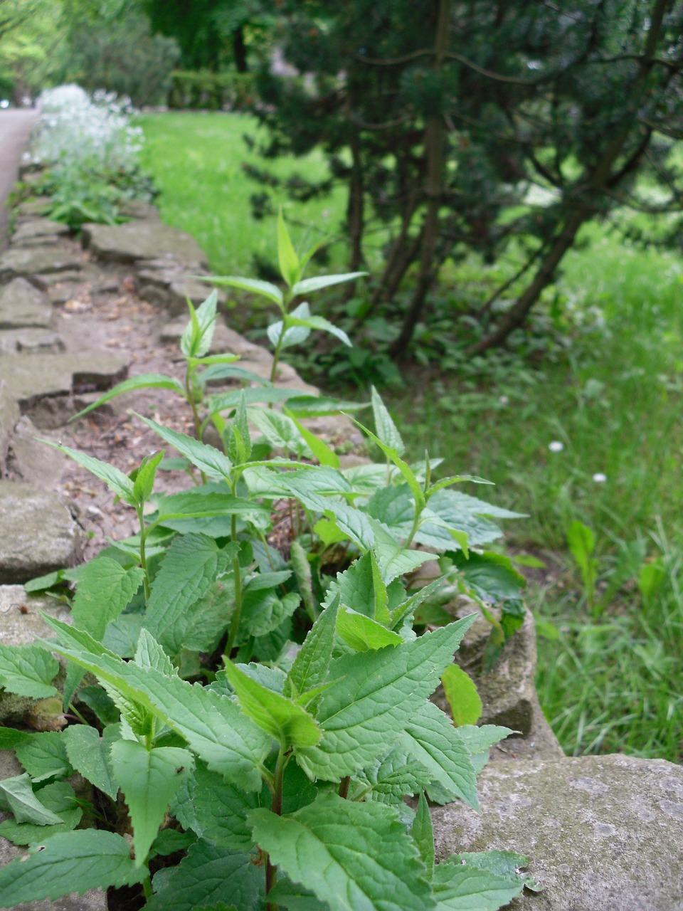 学区房价格如何