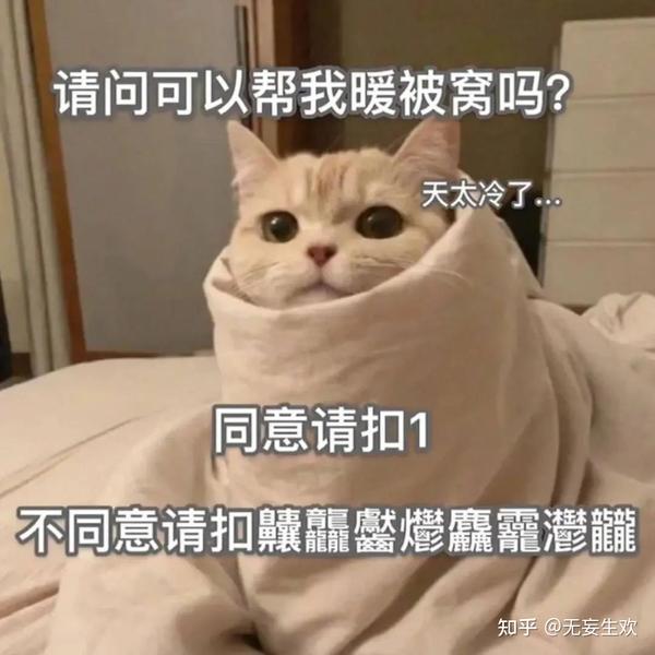 拽拽的文案短句(比较拽的短句文案)