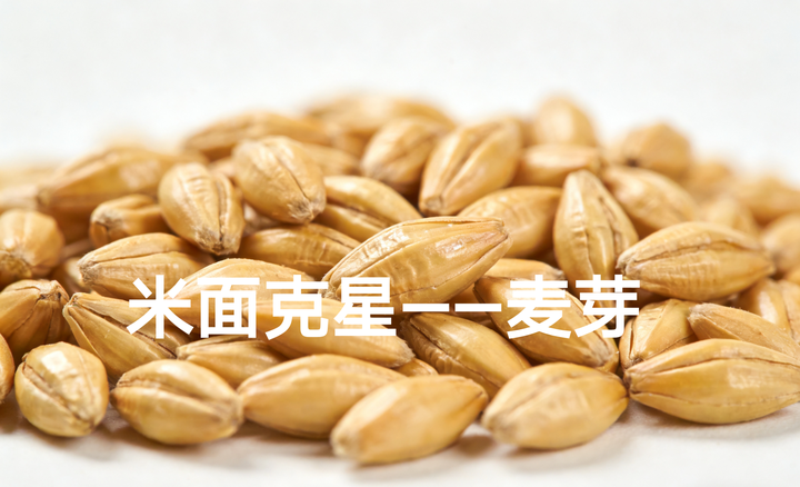 节后消食,别忘了这味“米面克星”——麦芽 - 知乎