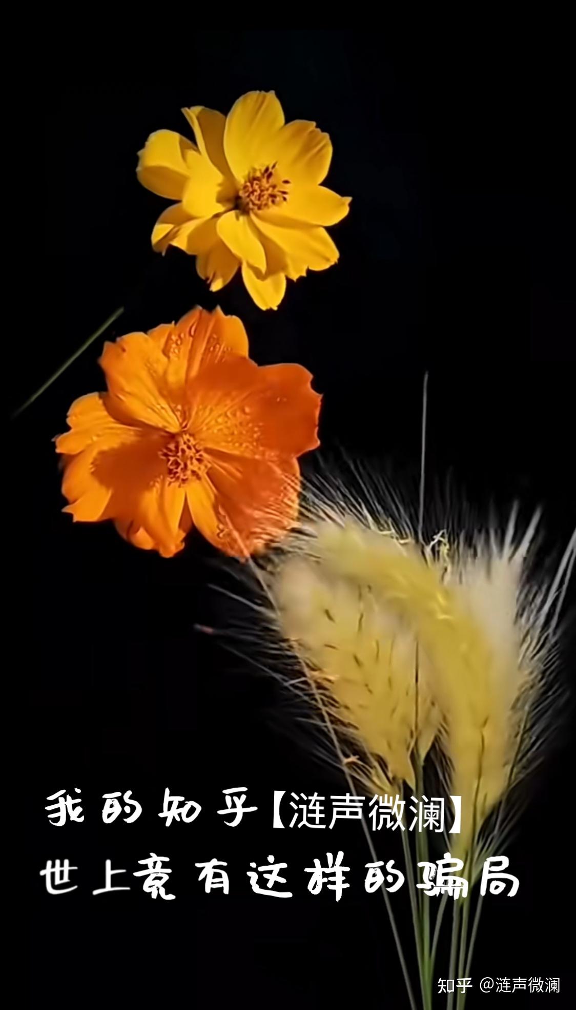 钱志敏骗局｜从在天津架起“蓝天格锐”说起 - 知乎