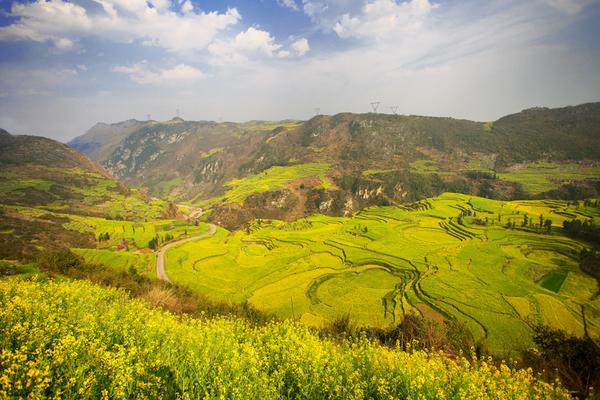 3月至7月 中国最靠谱的追花指南 知乎