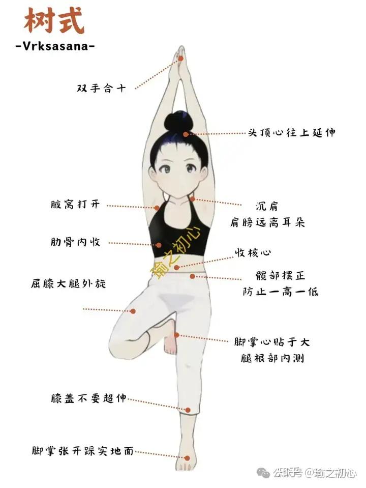 瑜伽体式拆解之