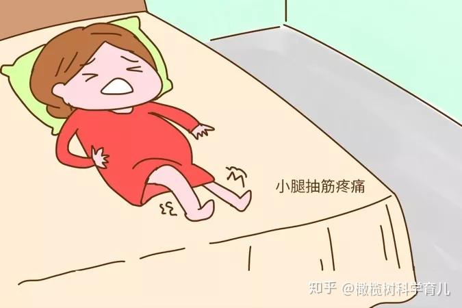 "孕期抽筋真的难受,抽筋的频率非常高.