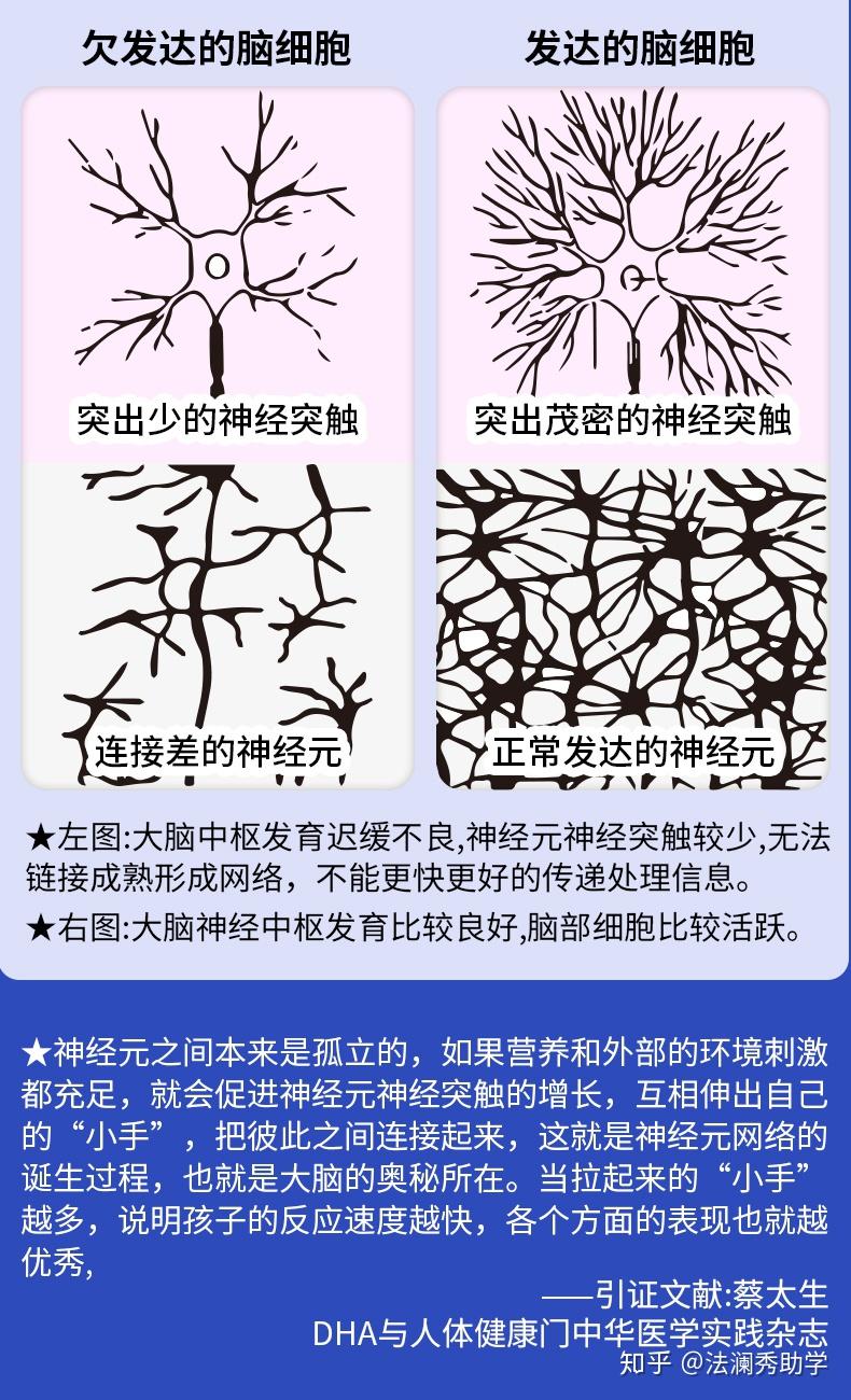助学115分钟教你搞定中学生记忆力下降