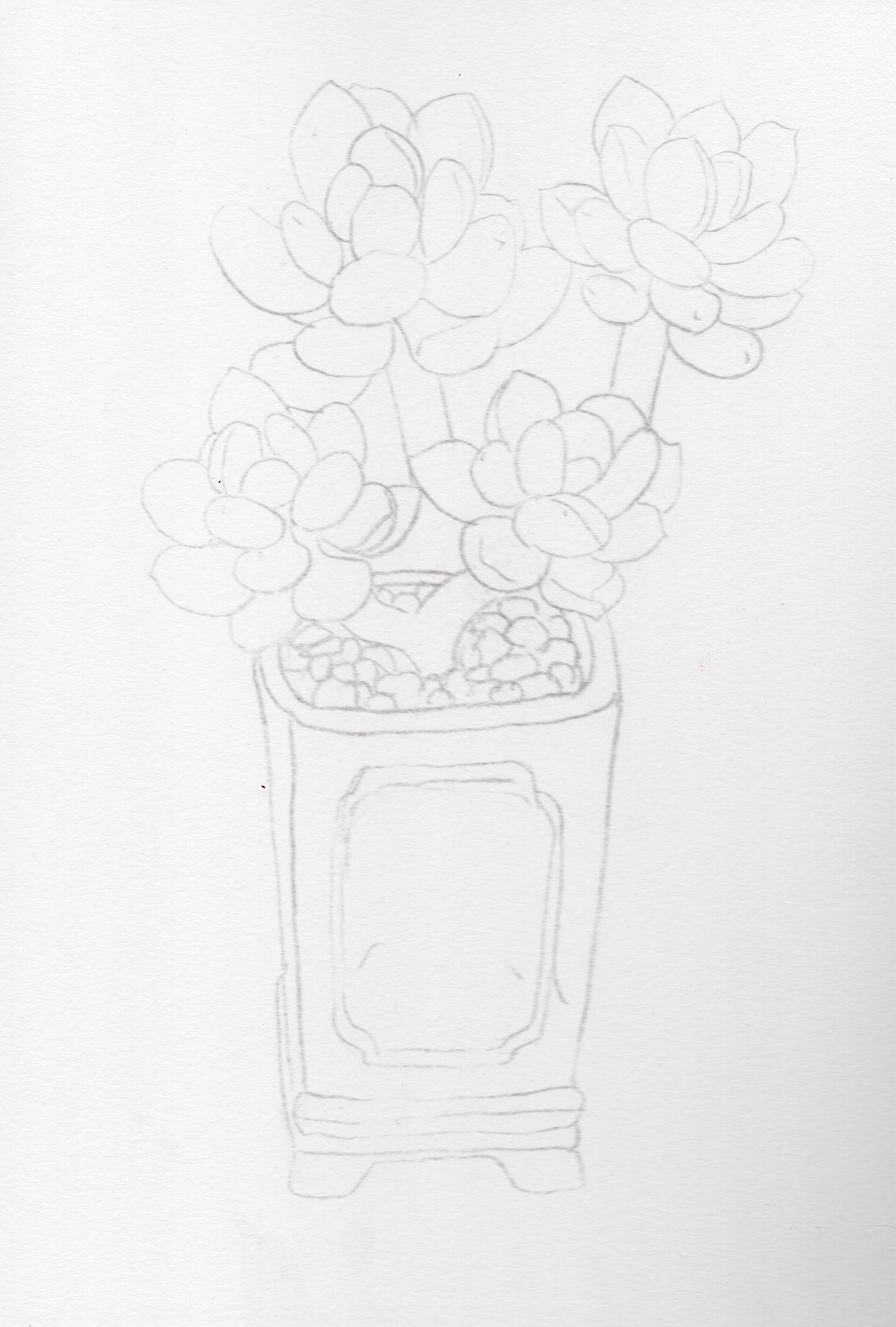 硫酸纸拷型,将拷好的型进行翻转,再用铅笔勾勒一遍就得到了下图线稿啦