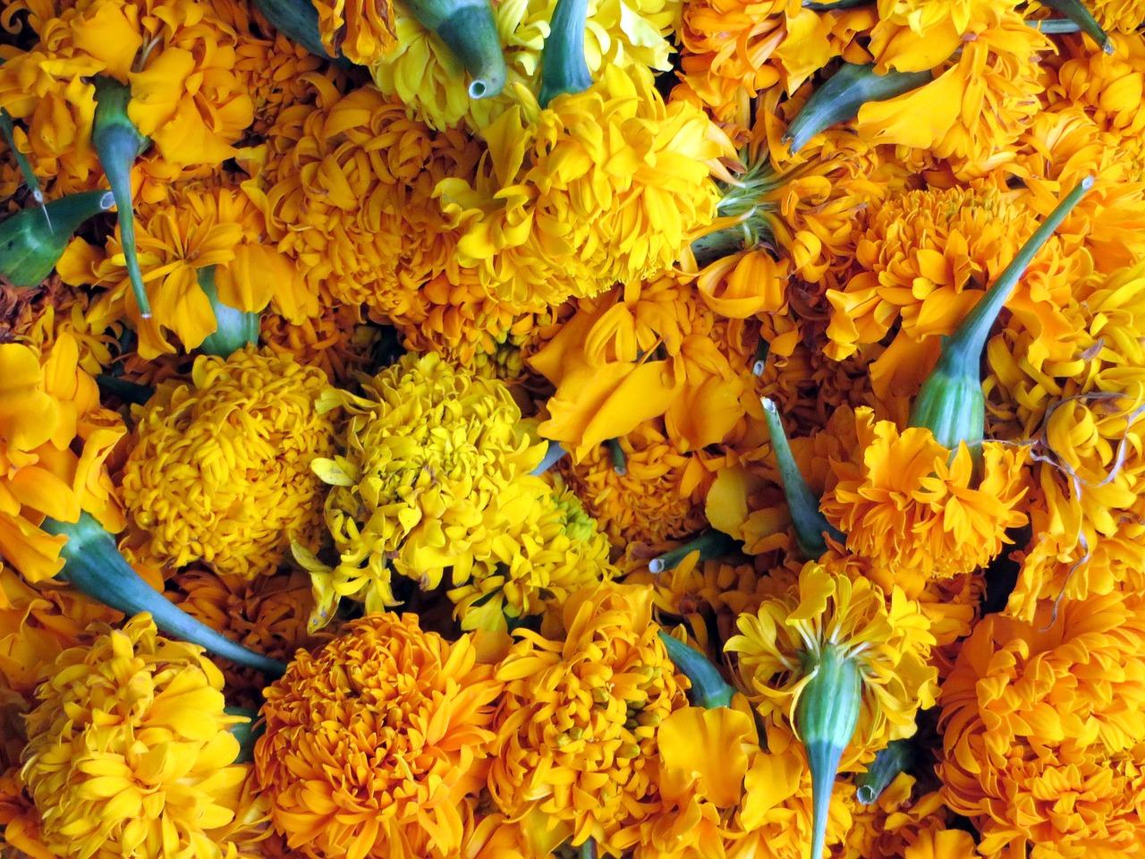 3. 花梨价格走势