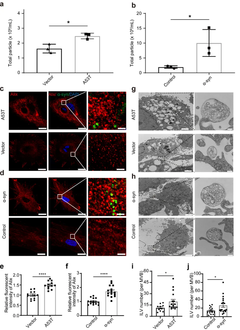 世界帕金森病日细胞外囊泡为帕金森患者点亮希望之光