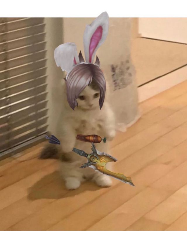 英雄联盟猫猫表情包集合第一期