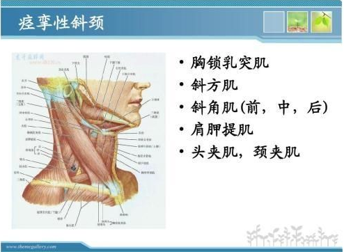 一般多久能换耳骨钉 v2-9994a9f6ec9f2049d6a47511c5cd6e9d_1200x500.jpg
