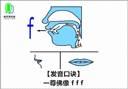 f的拼音格式怎么写(f占两个还是三格)