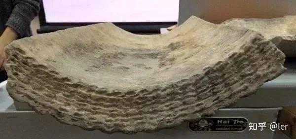 古建屋面瓦件知多少 | 滴水、瓦钉、筒瓦板瓦,一篇带你看明白 - 知乎