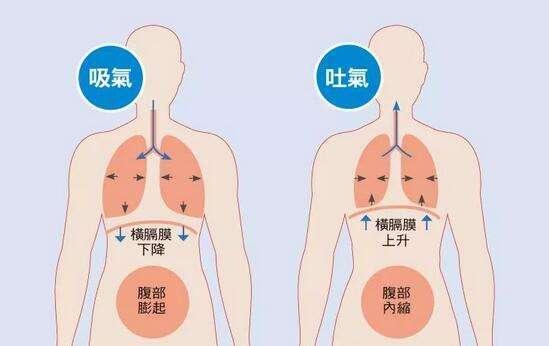 人体吸气时图片