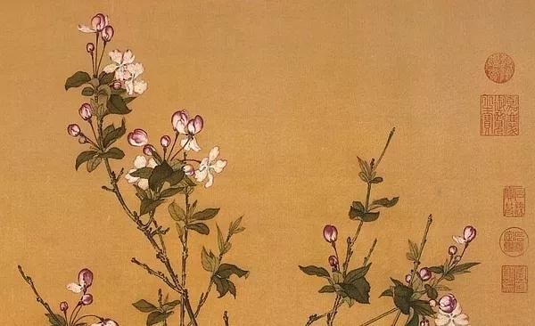 赏花季 还把梅花当桃花拍 为何古人从不画错春天的花 知乎 赏花季 还把梅花当桃花拍 为何古人从不画错春天的花 知乎