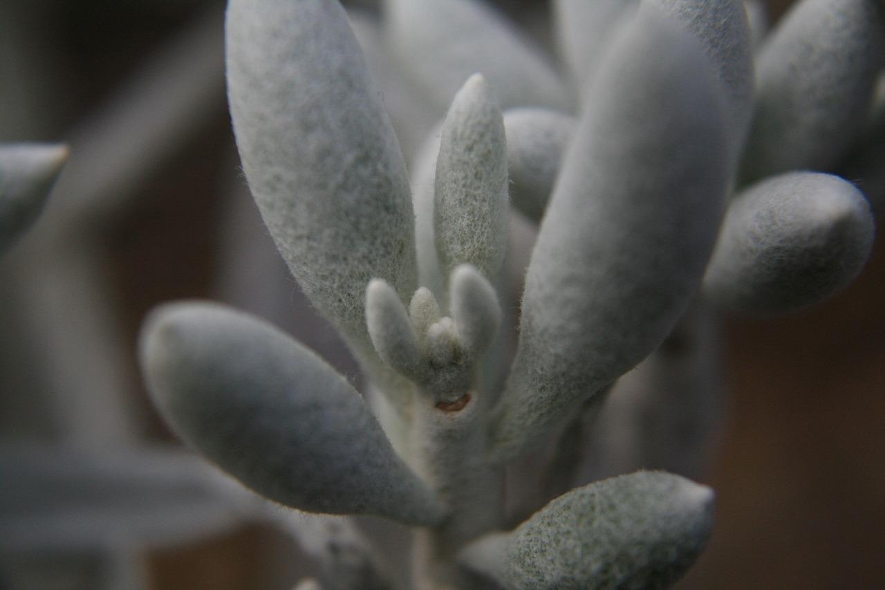 3. 休闲步道美景