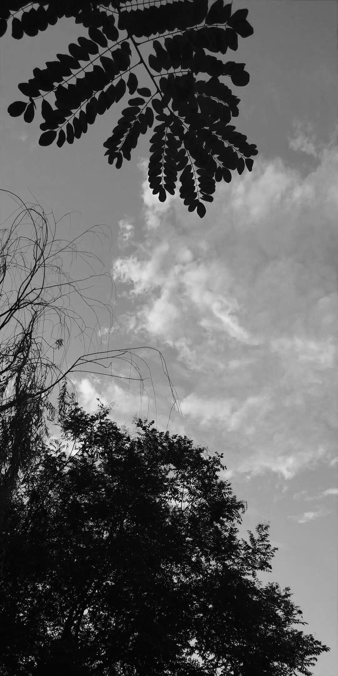 请问有没有比较丧的壁纸,(我没有抑郁症,就是比较喜欢这种, )? - 知乎