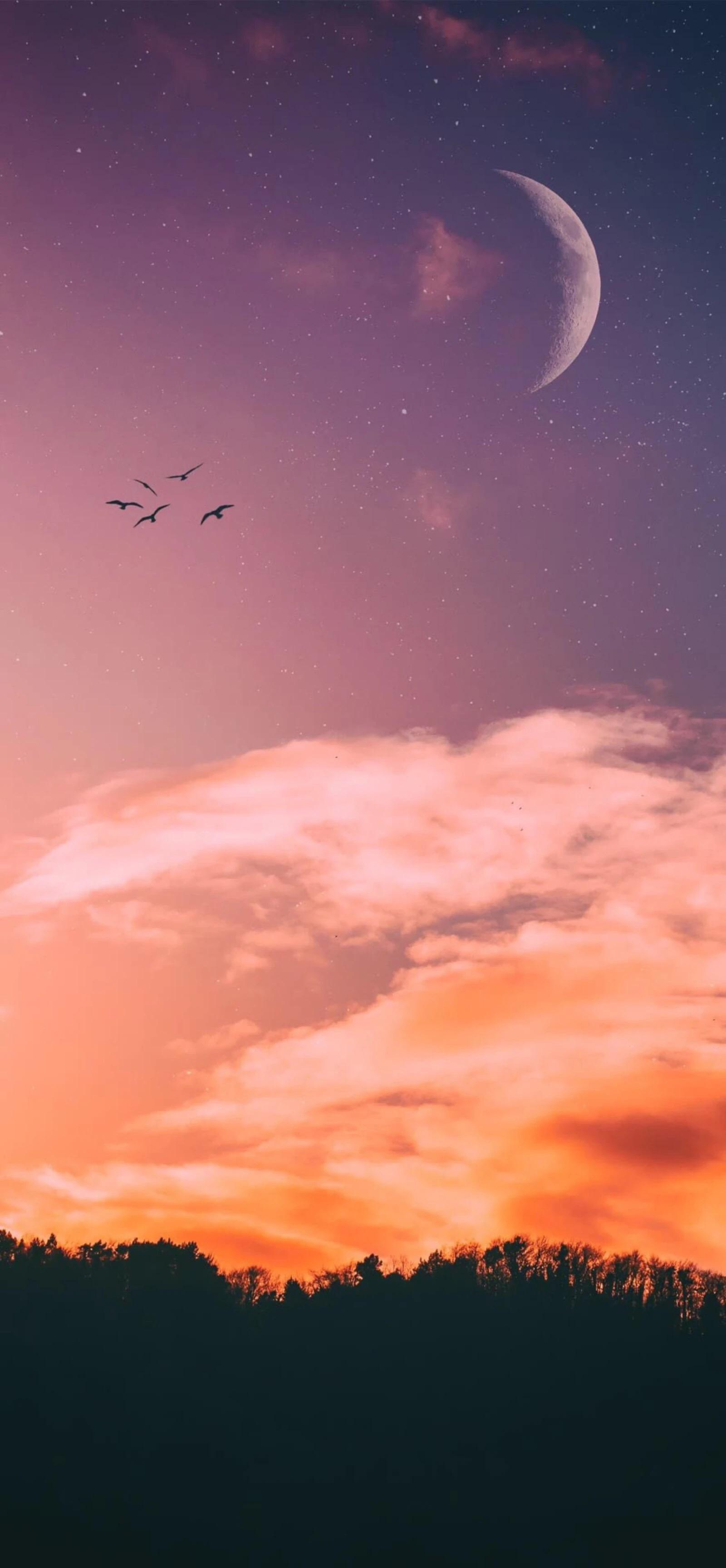 有没有让人眼前一亮的壁纸