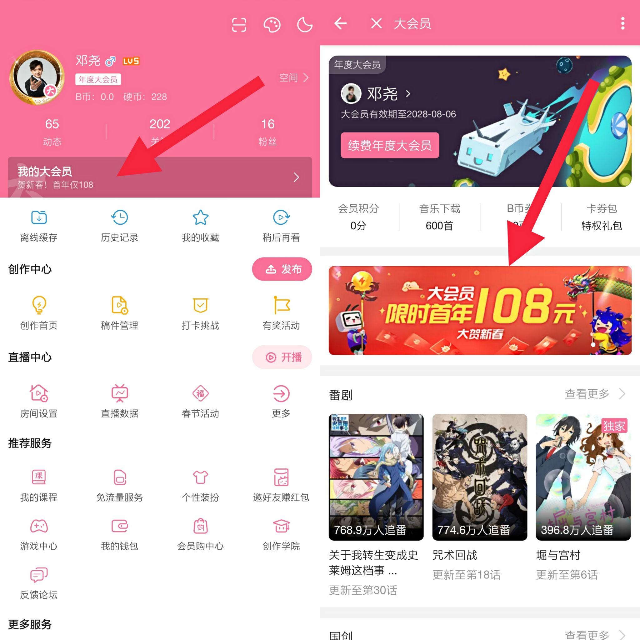 bilibili大会员怎么充值比较划算? - 知乎