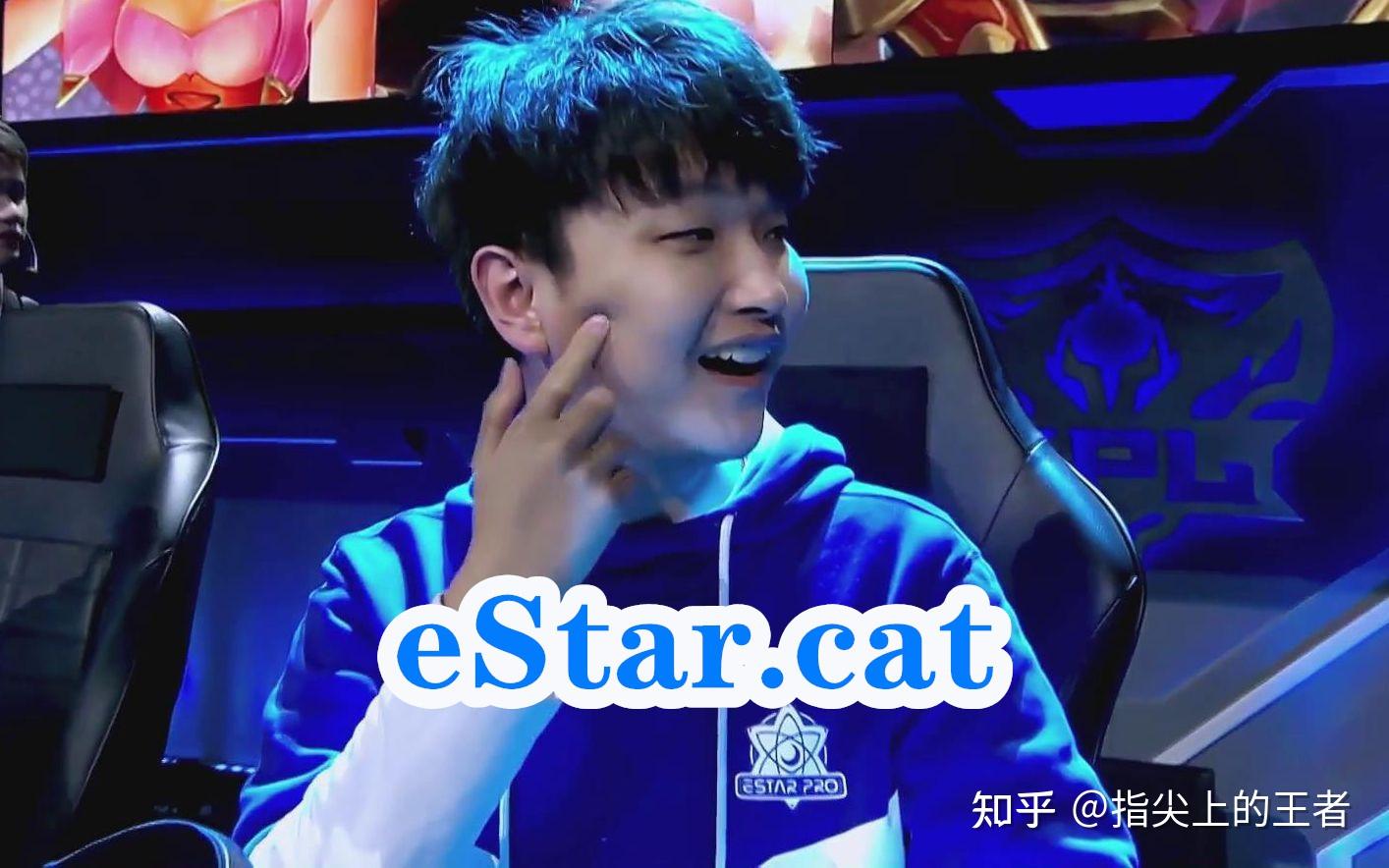 estar-cat