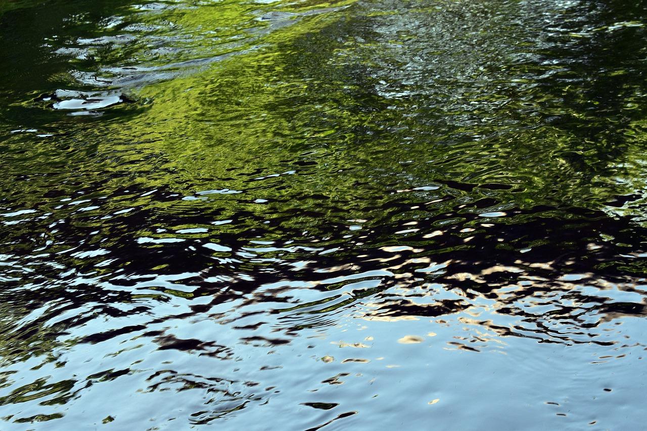 修正分多少部门