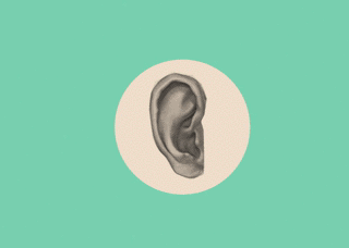 320_228gif 动态图 动图