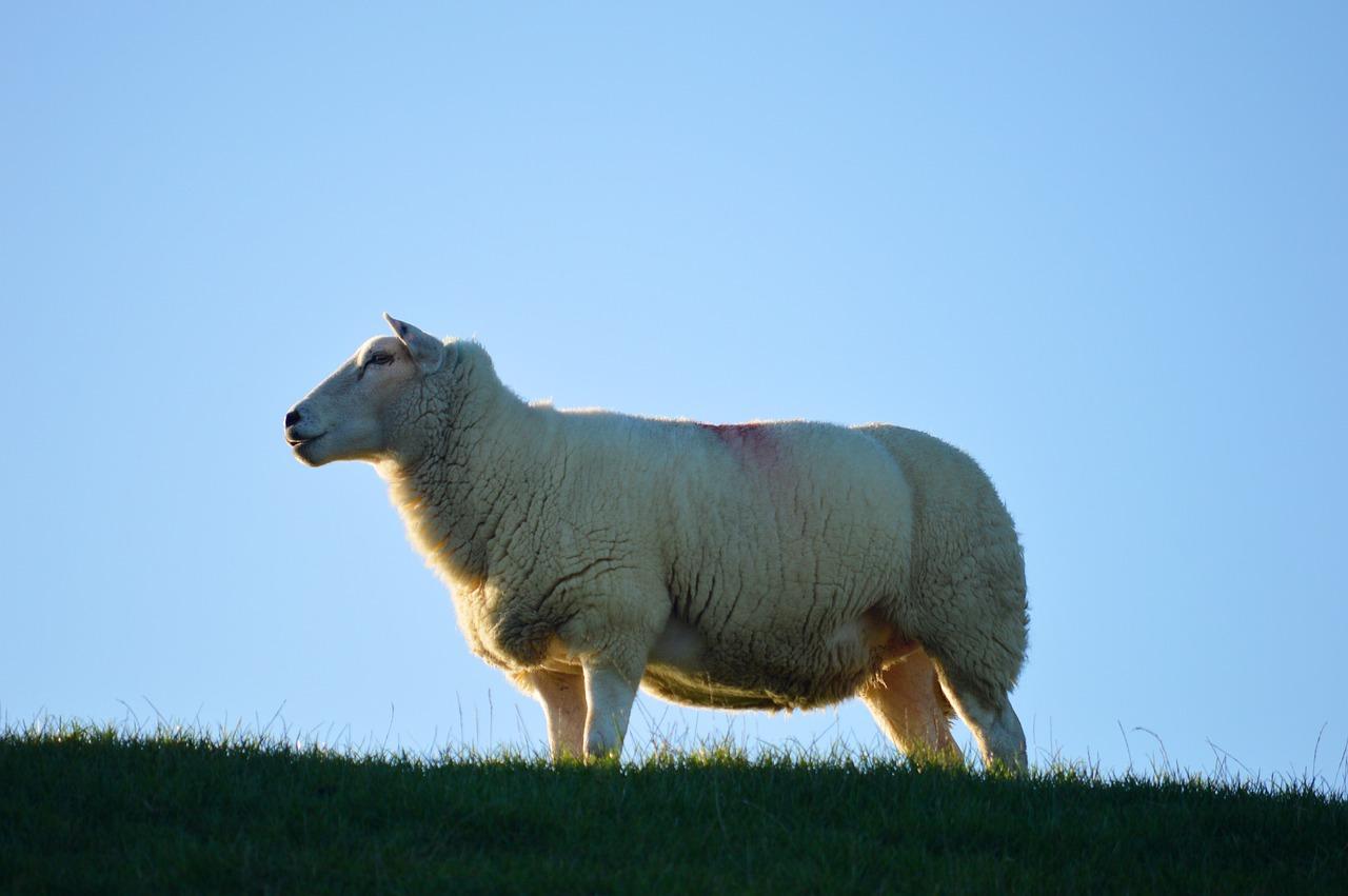 2. 生活配套完善