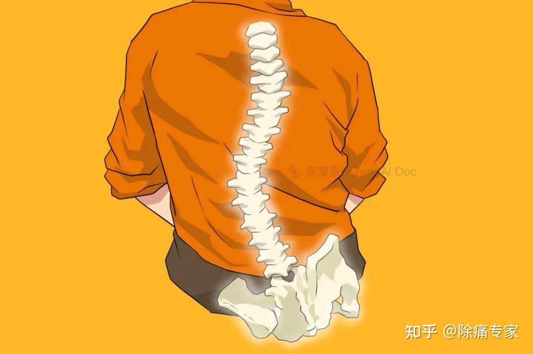 弯腰驼背高低肩竟然都跟这个有关