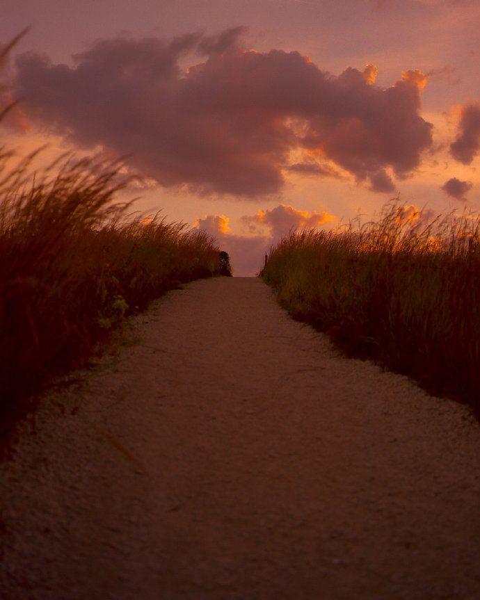 有啥简约高级的壁纸背景图?