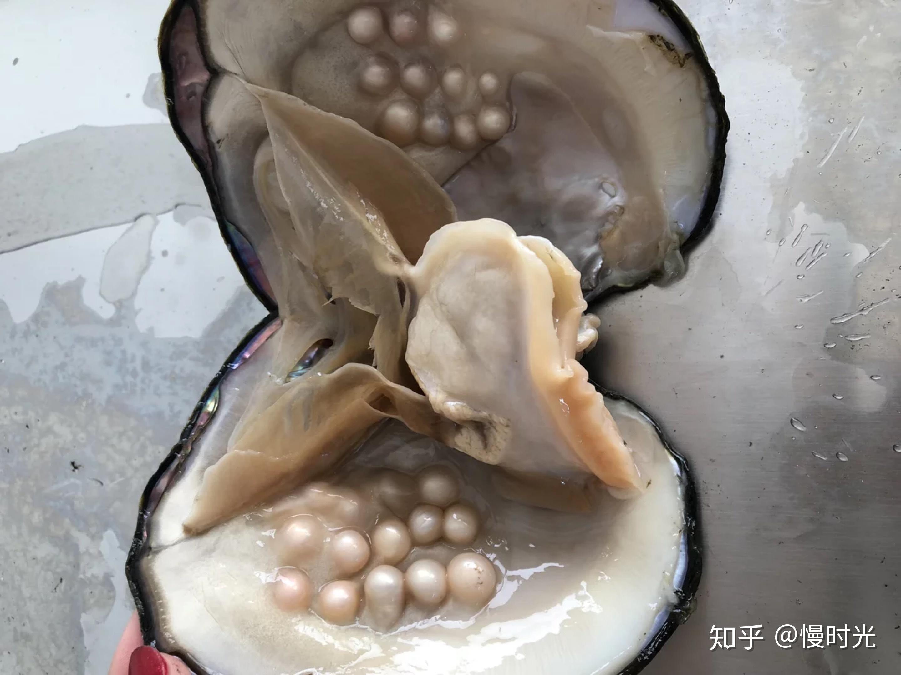 天然珍珠都有哪些颜色