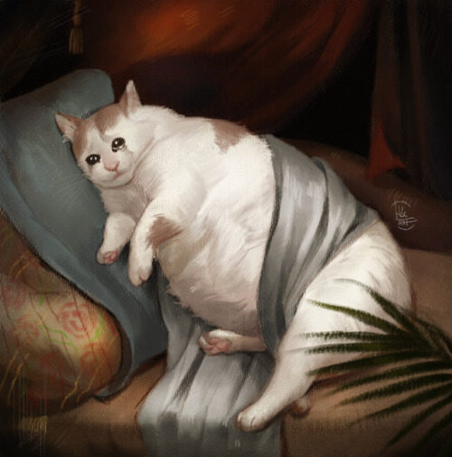 猫朋友英杰传 从 哭哭猫 到 流泪猫猫头 知乎 猫朋友英杰传 从 哭哭猫 到 流泪猫猫头 知乎