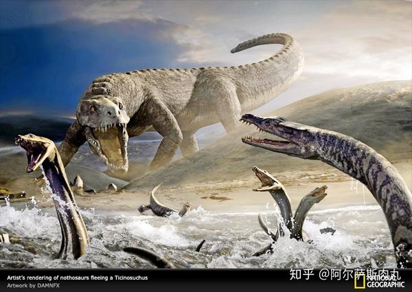 某种程度上看,幻龙的这套生存策略倒是与食肉目的