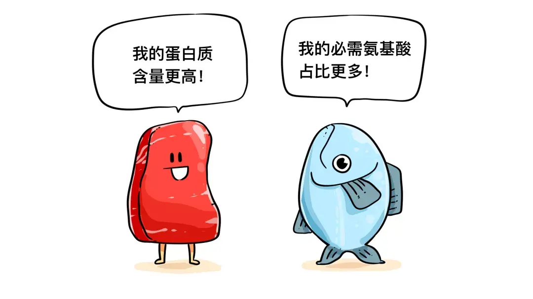 牛,猪,鸡,鱼,哪种蛋白质更好?|蛋白质 part 2